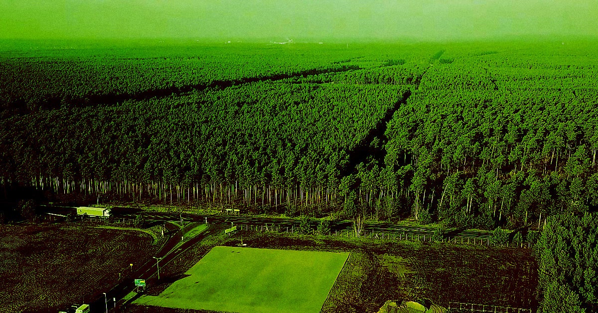 In its efforts to open a massive Gigafactory near Berlin, Germany, Tesla has to clear a lot trees and use up a ton of water — and that has people worried.