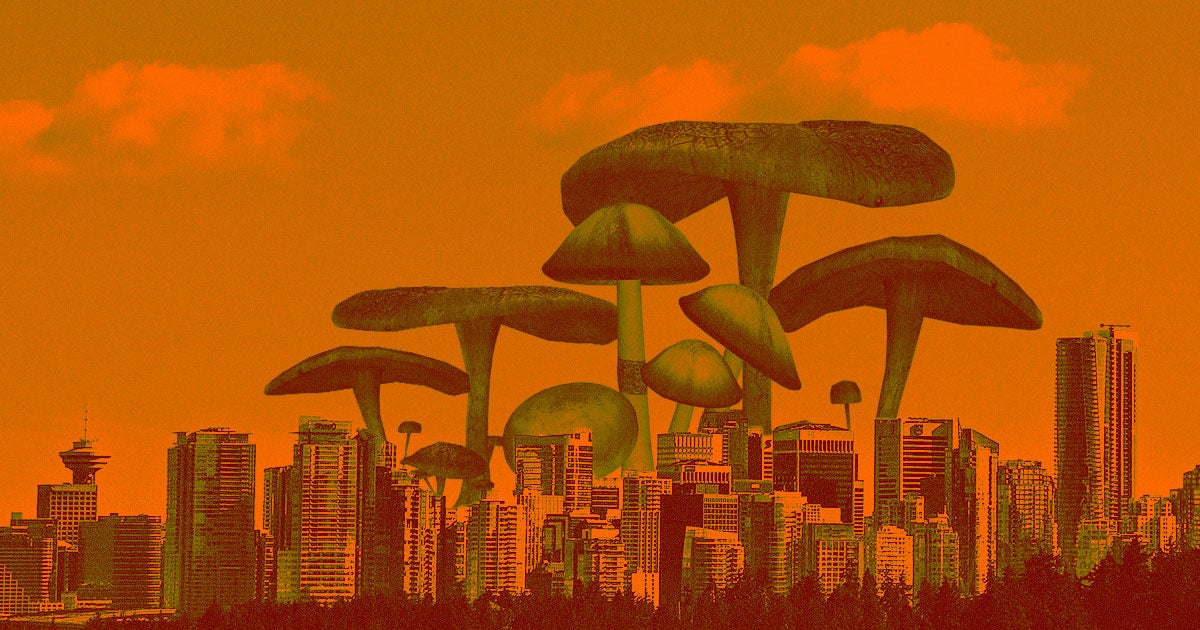 A team of scientists is exploring a bizarre idea: finding a way to build structures, circuitry, and other materials out of living fungal architecture.