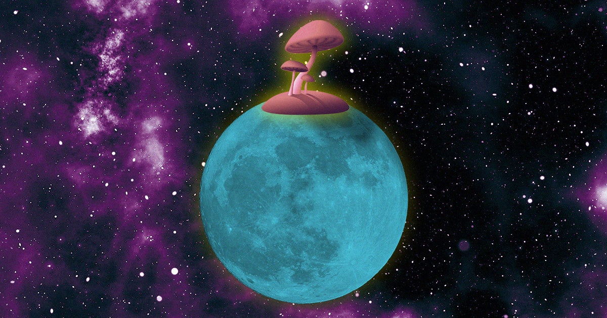An experimental NASA program is tinkering with the idea of building a Mars or Moon base out of living mushrooms that astronauts would grow onsite.