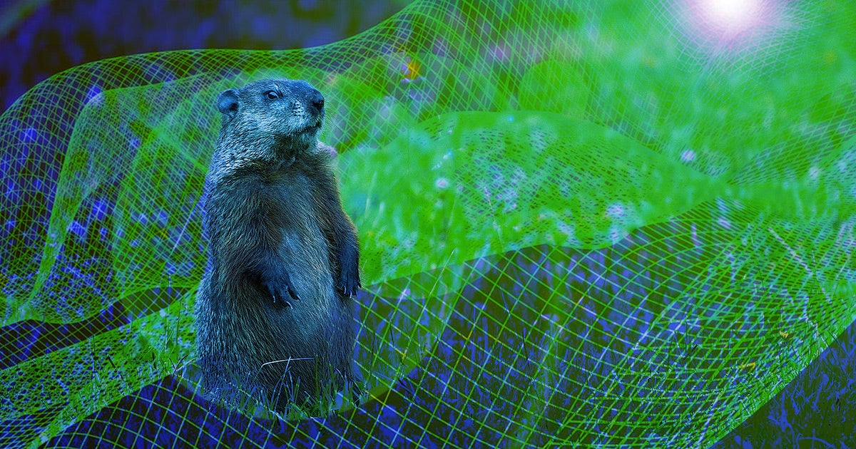 Animal-rights group PETA wants Punxsutawney Phil replaced with an artificially intelligent robot that would be more humane and accurate.