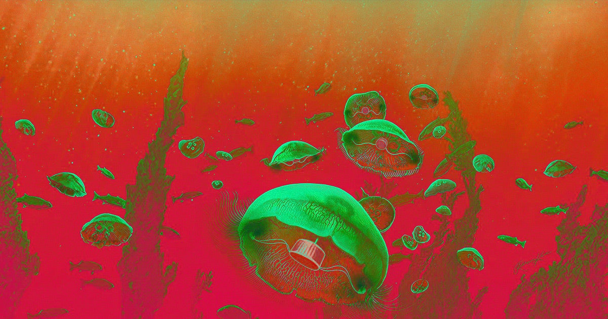 A team of scientists attached microelectronics to the undersides of jellyfish to create "biohybrid robots" that swim three times as fast as normal ones.