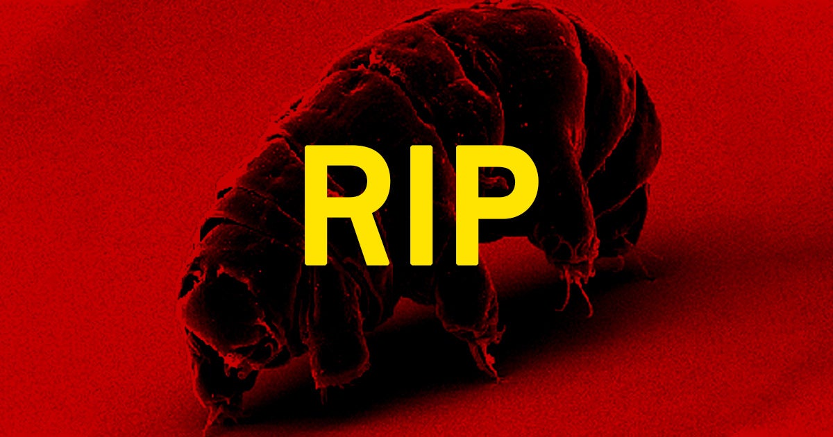 Even tardigrades — one of the most resilient creatures in the known universe — might not be able to survive global warming, according to a new study.