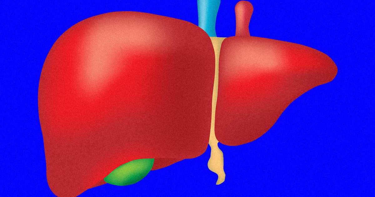 A team of researchers from the University Hospital of Zurich, Switzerland have found a way to keep human livers alive for an entire week outside the body.