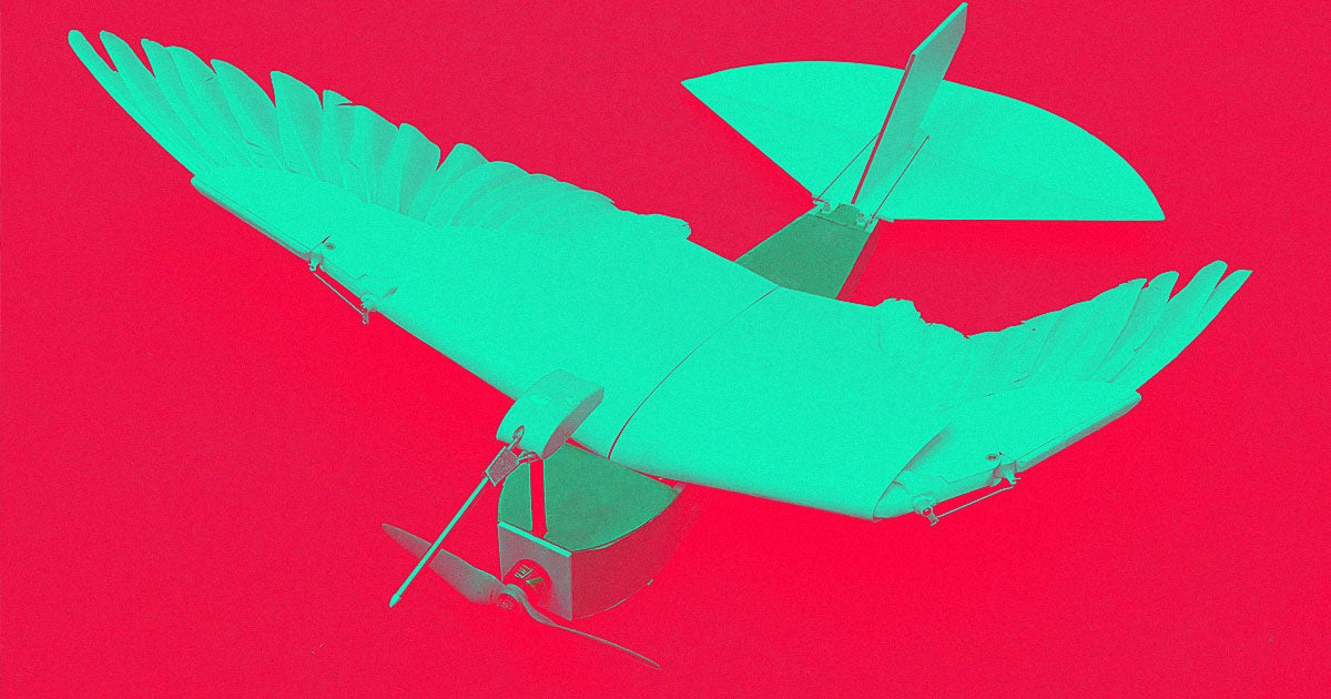 Researchers have built a flying robot drone called PigeonBot that features real pigeon feathers in an effort to understand the kinetics of birds' flight.