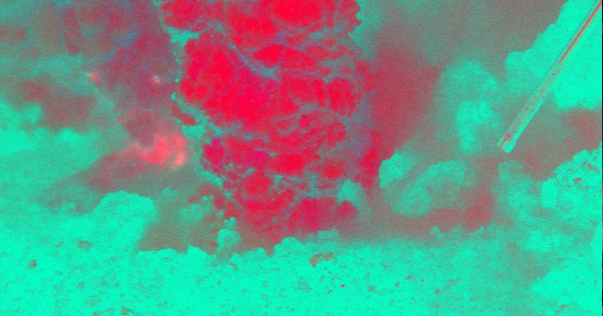 A team of German researchers have finally solved the mystery of a mysterious seismic humming first discovered in November 2018: an underwater volcano.