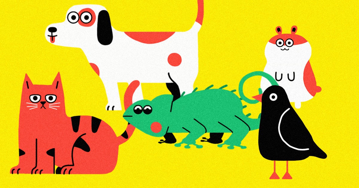 Spotify is launching a playlist generator today that can line up some killer tunes for you and your hamster, bird, iguana, dog or cat.