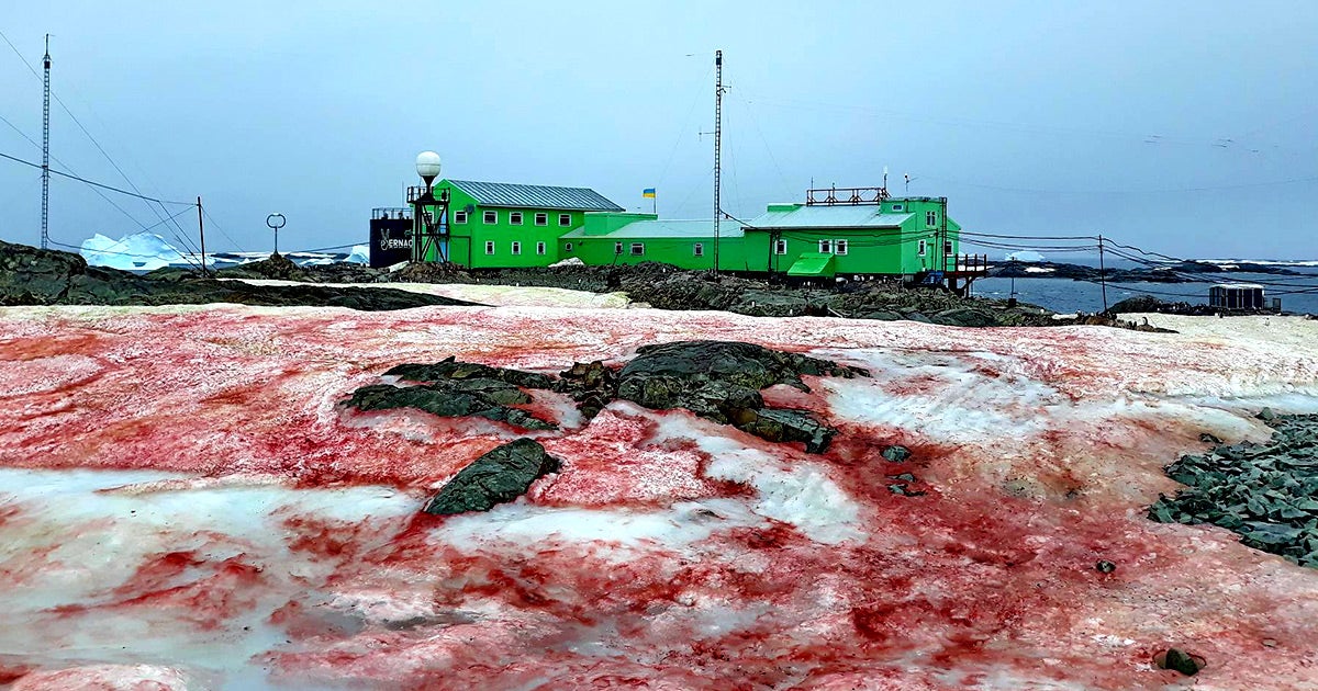 A Facebook post by the Ministry of Education and Science of Ukraine shows a research station in antarctica covered in "raspberry snow."