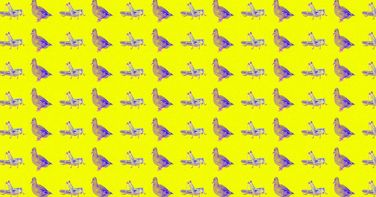 A mysterious video that claimed China would be sending 100,000 ducks to Pakistan to help deal with a locust invasion went viral on Chinese social media.