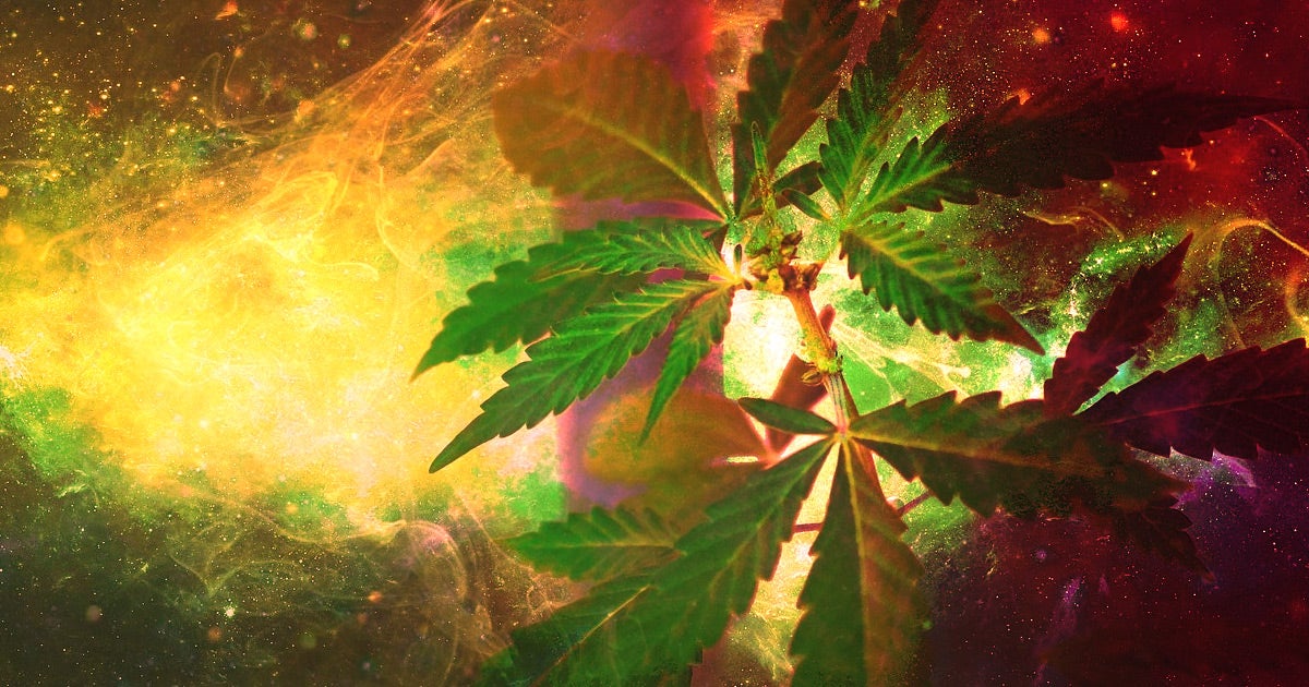 New research shows that marijuana use makes people more susceptible to believing a false memory, a troubling development for the legal system.