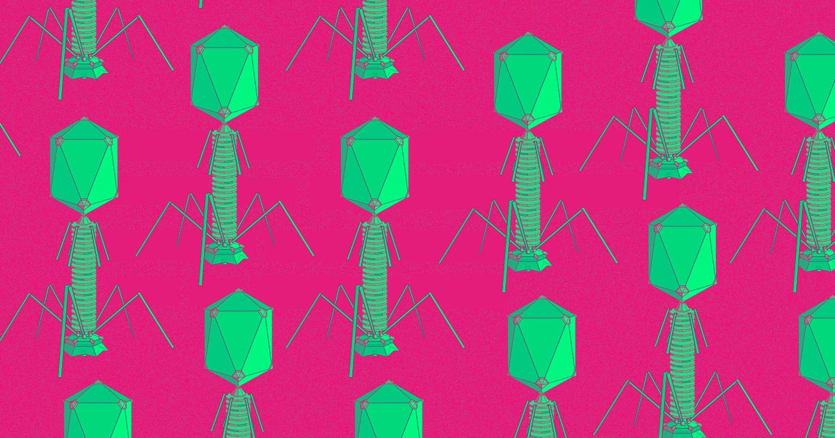 Over the last decade, MIT bionengineering professor Angela Belcher has been conscripting millions of zombie viruses to build battery parts.