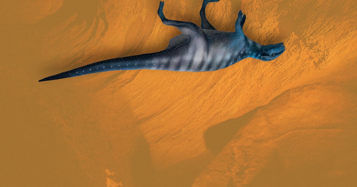 Fifty years later, scientists debunked the idea that dinosaur footprints left on the ceiling of an Australian cave were left by one walking upside down.