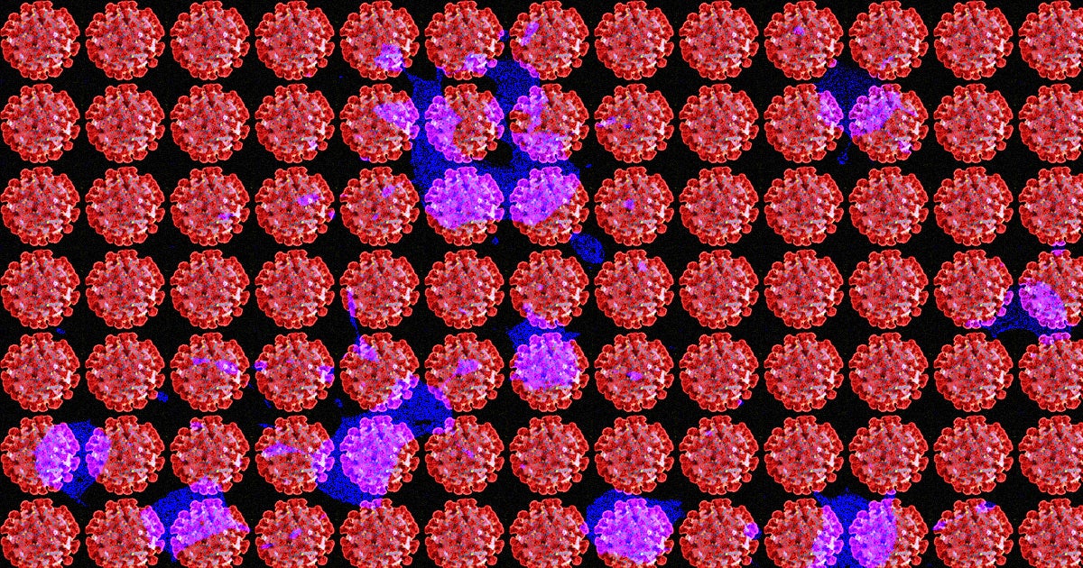 Biologists across the world are already printing synthetic copies of the genetic code of the deadly COVID-19 virus, The Verge reports.