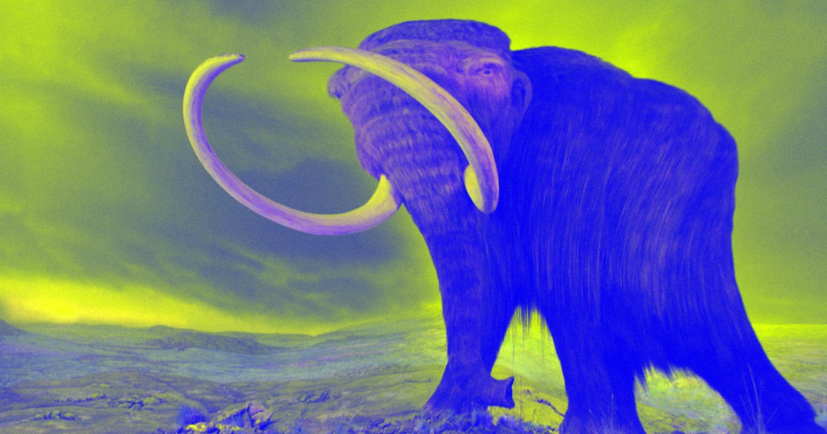 According to a study published earlier this month in journal Genome Biology and Evolution, woolly mammoth genes had many bad mutations from inbreeding.