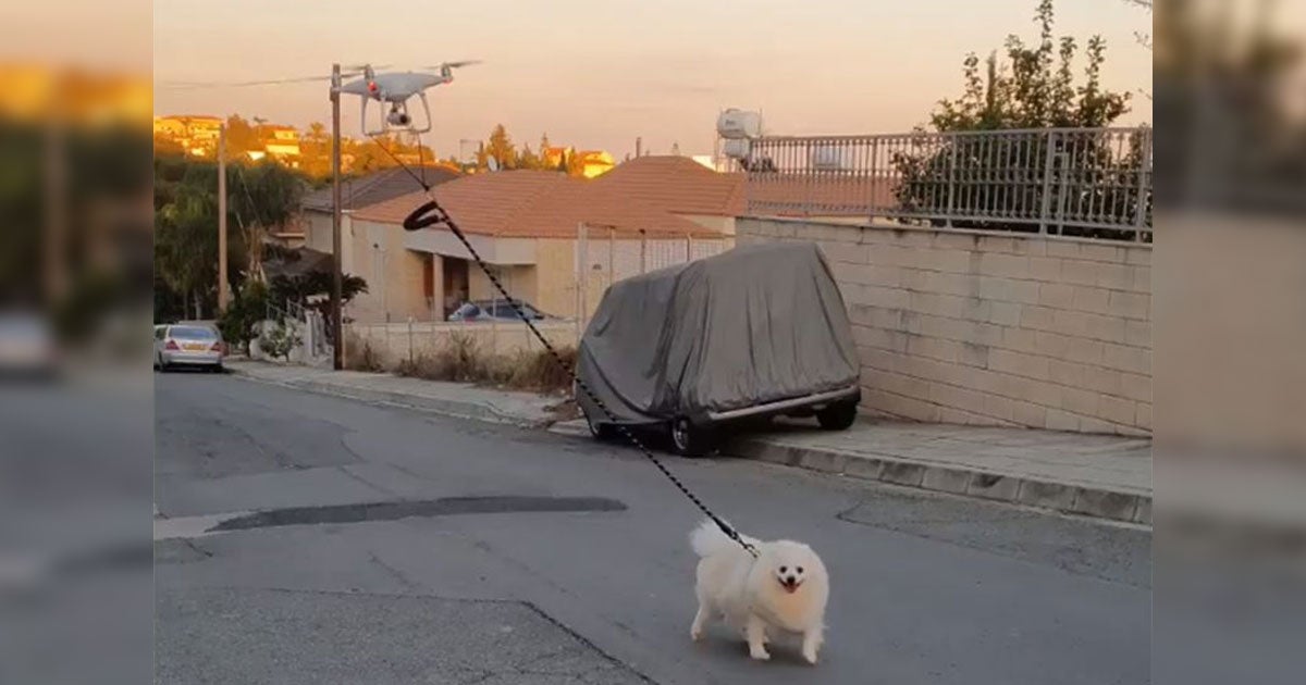 As people are urged to stay in their homes, one man in Cyprus decided to use a remote-controlled drone to walk his dog around town.