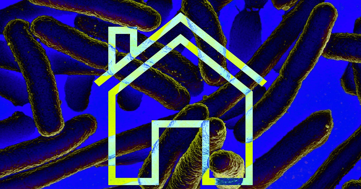 Materials researcher Will Srubar argues that in order to build a sustainable future, scientists need to develop living, self-growing materials.