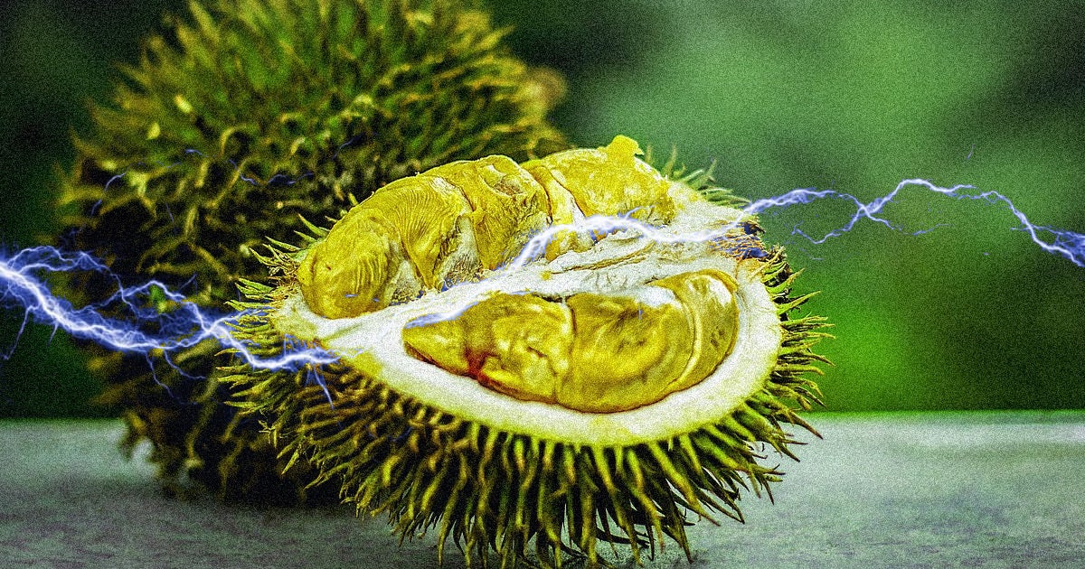 Researchers found a way to turn biowaste, specifically the inedible cores of jackfruit and durian, into high-density ultracapacitors for storing energy.