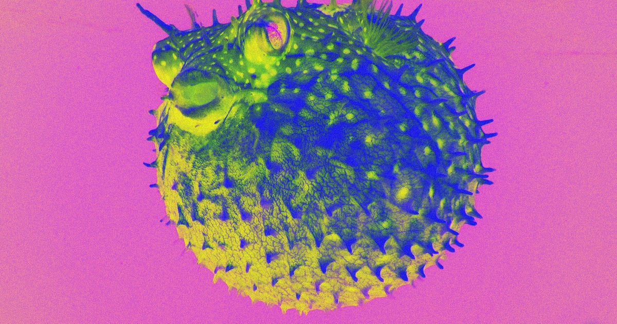 Many medicines that help keep us alive originated from toxic substances, which may help explain why researchers might want to recreate toxins.