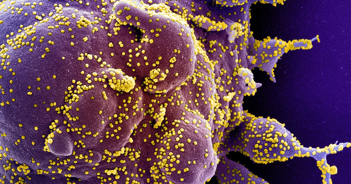 In the U.S., the coronavirus has disproportionately killed those in black communities, illustrating the dire impacts of the country's racial inequalities.