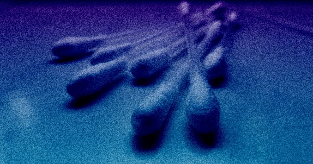 The FDA just granted an emergency use authorization to a new test that scans saliva samples for the coronavirus, potentially making testing far safer.