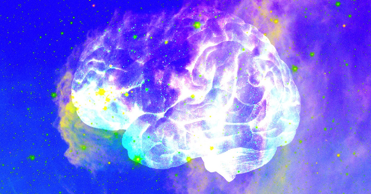 The creators of Integrated Information Theory, the bizarre model that suggests the universe could be consciousness, are doubling down on the idea.