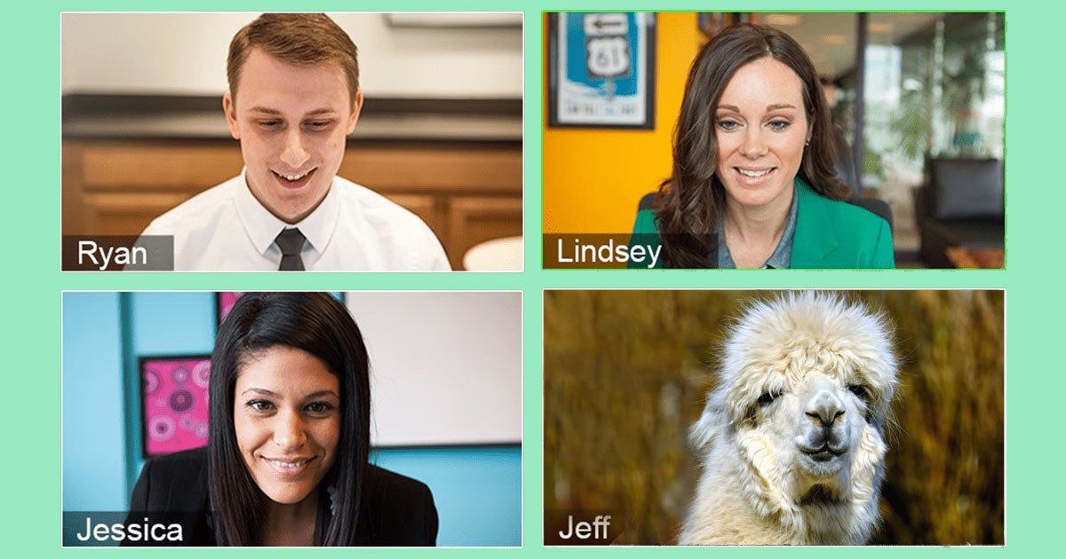 A Silicon Valley-based animal sanctuary called Sweet Farm is renting out farm animals, including llamas and goats, to spice up boring Zoom meetings.