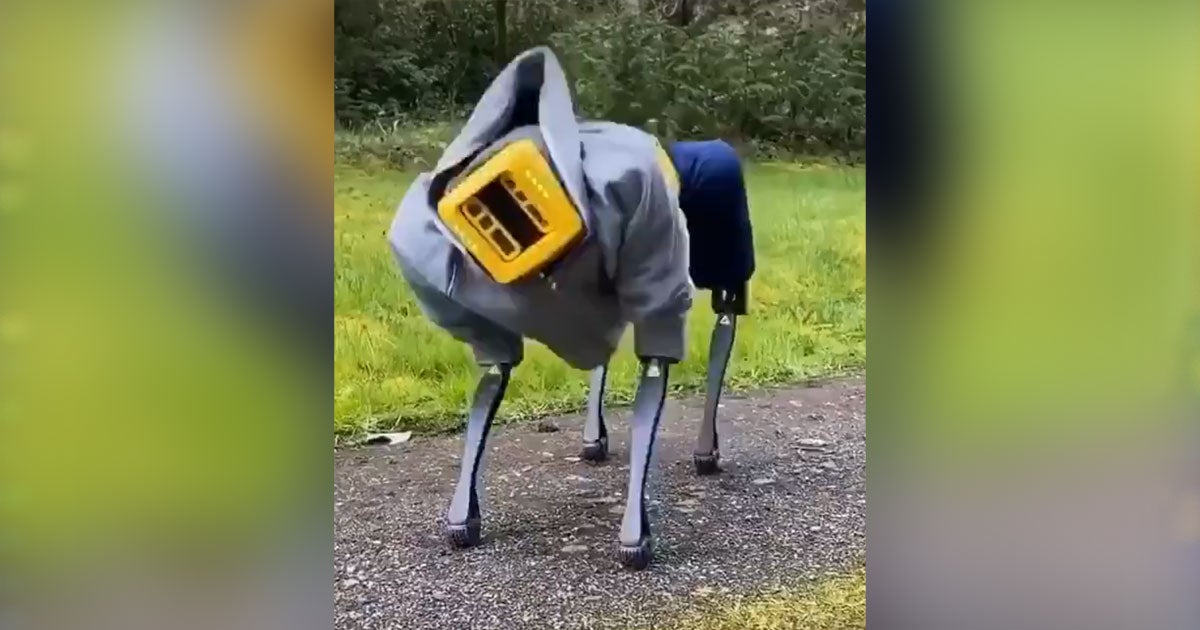 A video shows a Boston Dynamics Spot Mini robodog put on a show while wearing a pair of basketball shorts and a hoodie. It's a hell of a show.