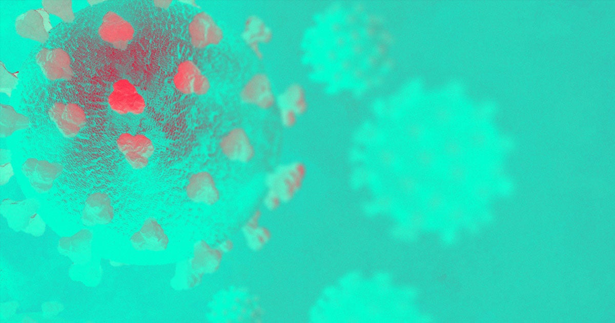 During briefing, WHO director-general Tedros Adhanom said "that a relatively small percentage of the populations may have been infected" by the coronavirus.