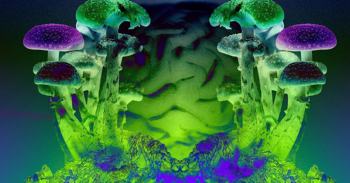 A new study on people taking psilocybin revealed the biological mechanisms responsible for feelings of bliss associated with the drug.