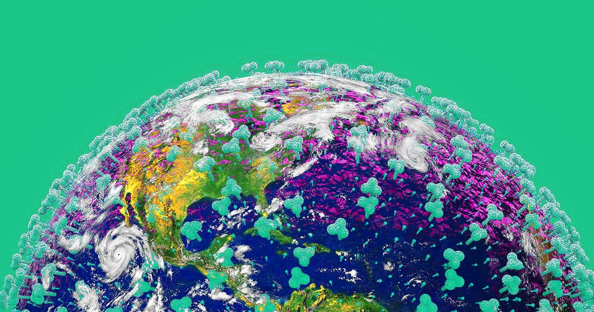 According to a new study, daily emissions decreased by 17 percent, or 17 million tons of carbon dioxide, worldwide to 2006 levels.