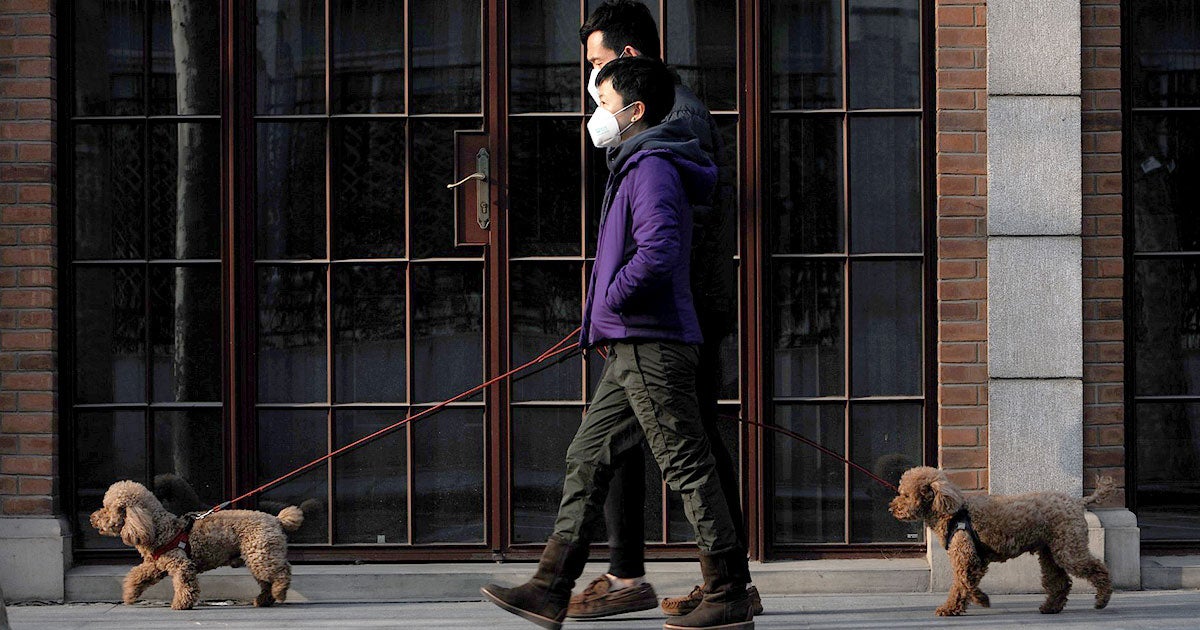 A resurgence of coronavirus cases is starting to hit China, South Korea and Germany — just as governments are starting to loosen restrictions.