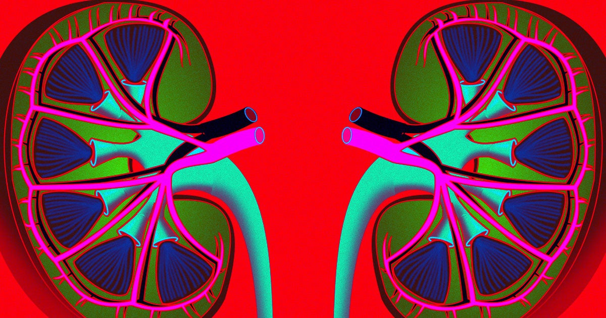 According to a new study, a large medical system located in New York, over a third of COVID-19 patients experienced acute kidney injury.