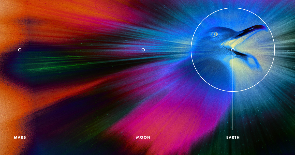 A new animation by JAXA planetary scientist James O'Donoghue shows just how slow the speed of light is on a cosmic scale.