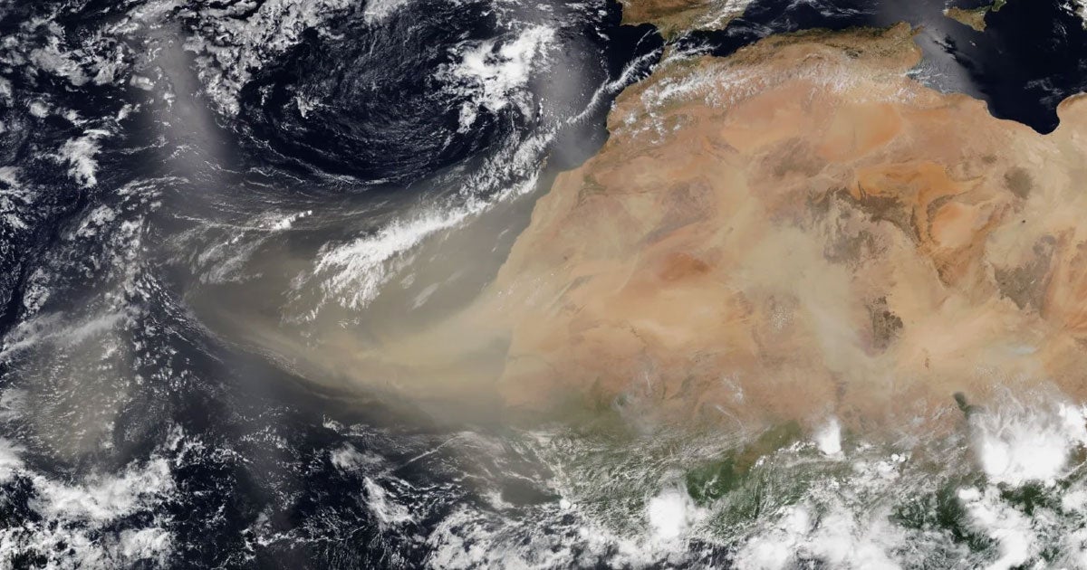 After hitting the Caribbean, dust from the Sahara Desert just arrived at the US gulf coast, forming what experts referred to as a "Godzilla dust cloud."