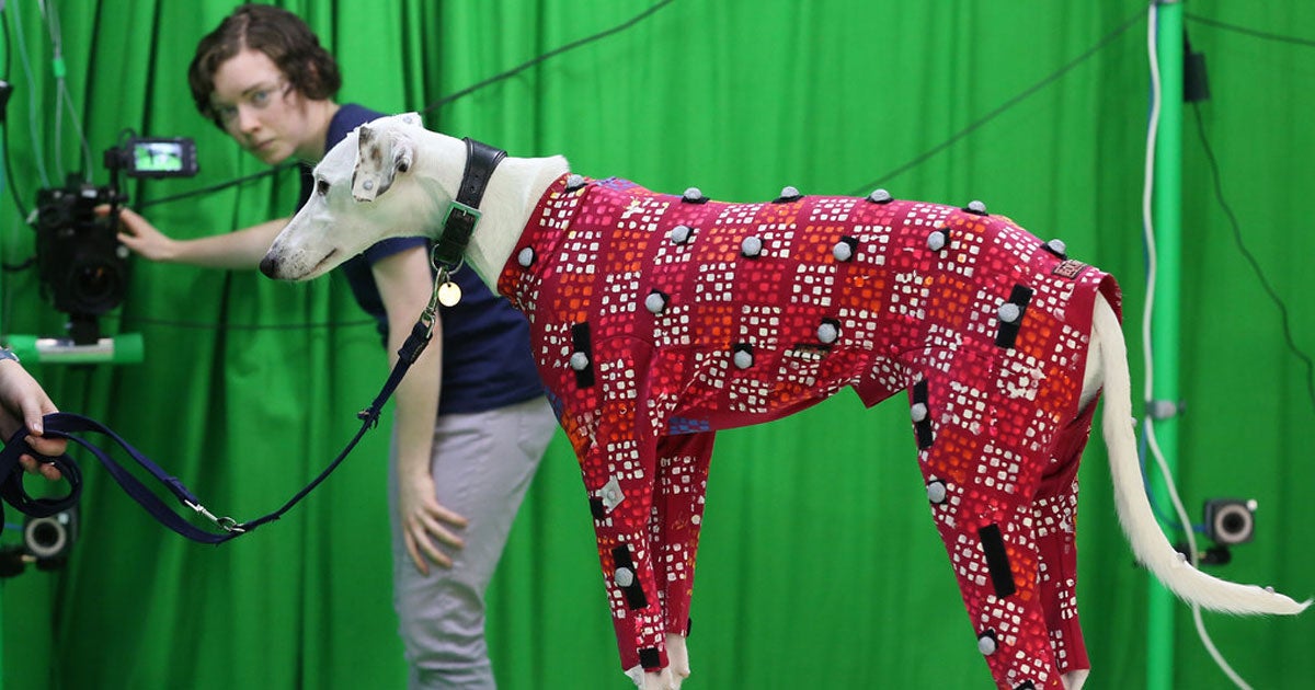 New animation tech can create a virtual represenation of a dog after filming it with a single camera, no motion capture suit needed.