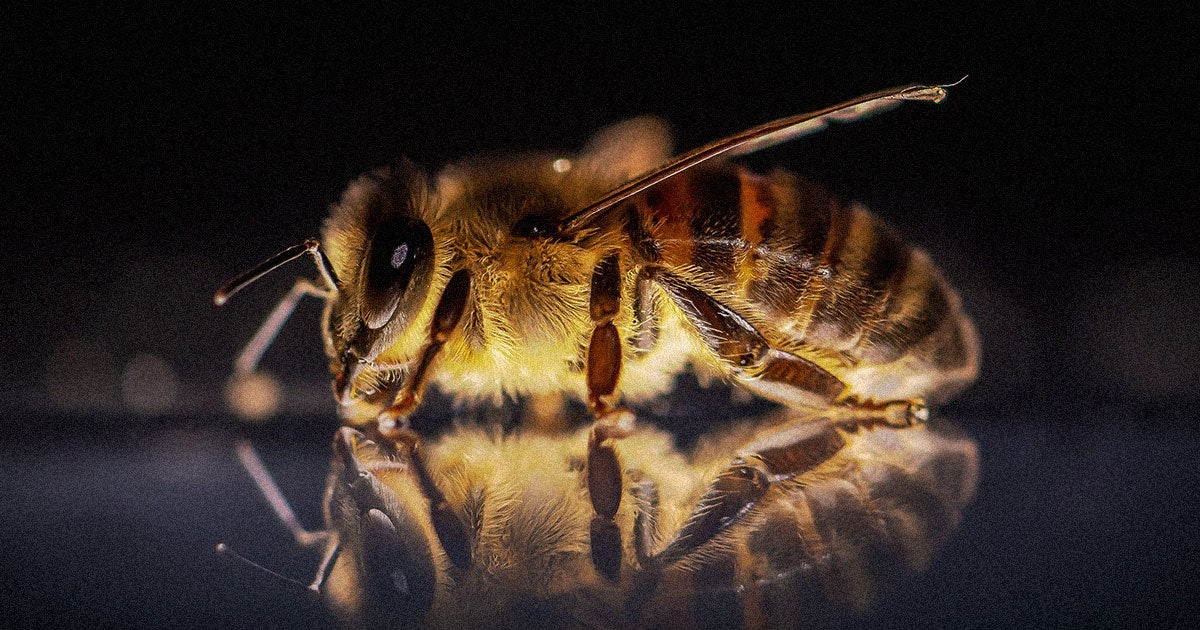 If bee populations continue to drop, a team of scientists says they can pollinate plants with soap bubble-launching drones.