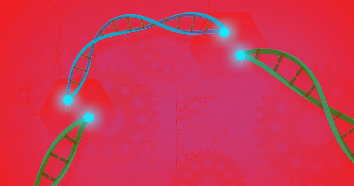 A gene-hacking serum nullified two genes linked to heart health in monkeys. If it works in humans, it could mean a future with no heart disease.