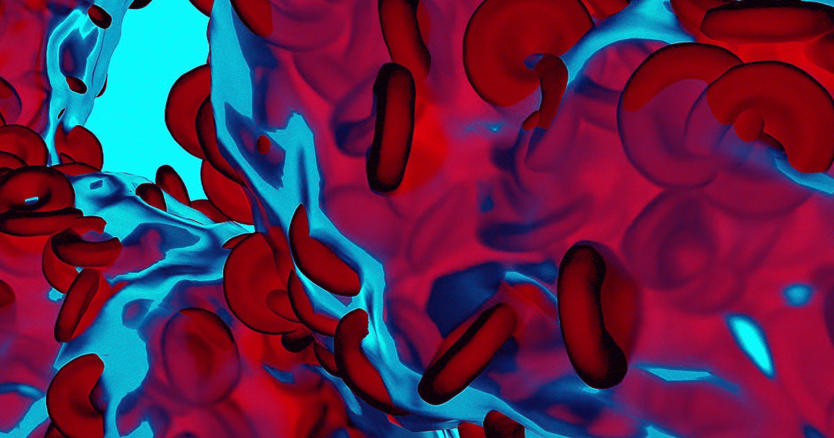 A massive new study strongly links high blood iron levels with a longer lifespan, giving hope to new longevity treatments.