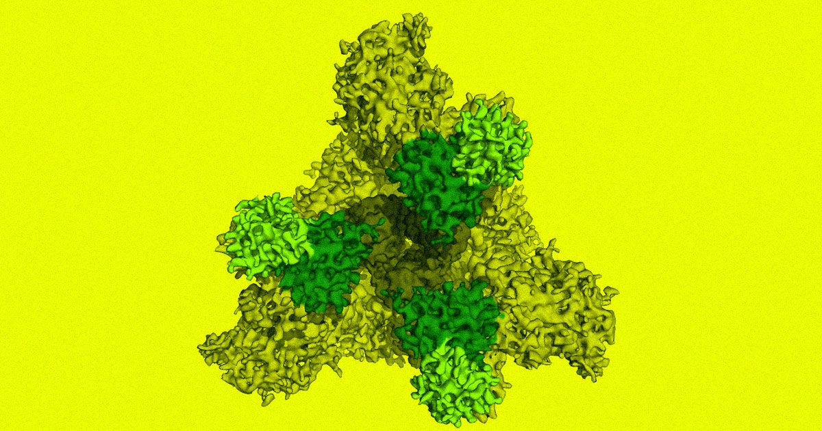 Scientists managed to capture images of an antibody neutralizing the coronavirus, and they say studying its moves could lead to vaccines or treatments.
