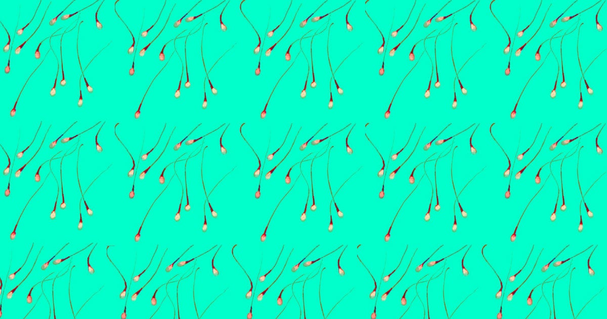 Scientists grew stermatogonial stem cells — the precursors to sperm — in a lab for the first time, potentially unlocking new fertility treatments.