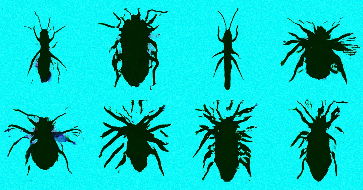 A programmer named Aldo Cortesi created an algorithm that draws nonexistent animals, some of which look plausible and others which look like bizarre.