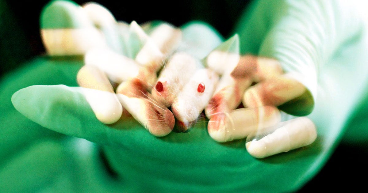 Doctors managed to "delete" opioid addictions from the brains of lab mice by shining an implanted fiber optic light that prevented withdrawal.