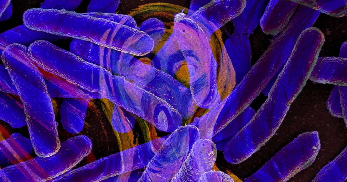 Scientists say that bacteria "scream" as they die, giving off chemical alarms that warn their brethren of danger like antibiotics.