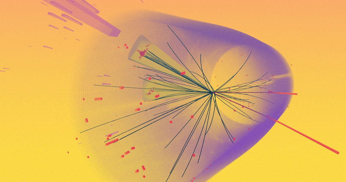 For the first time, physicists observed the Higgs boson decay into a pair of particles called muons, further reinforcing the Standard Model.