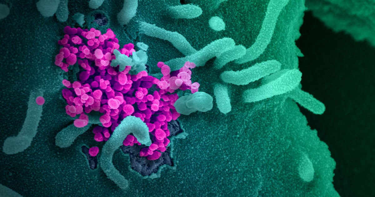 For the first time, experts were able to confirm that a former COVID-19 patient has been reinfected by the coronavirus, but that's no cause for concern.
