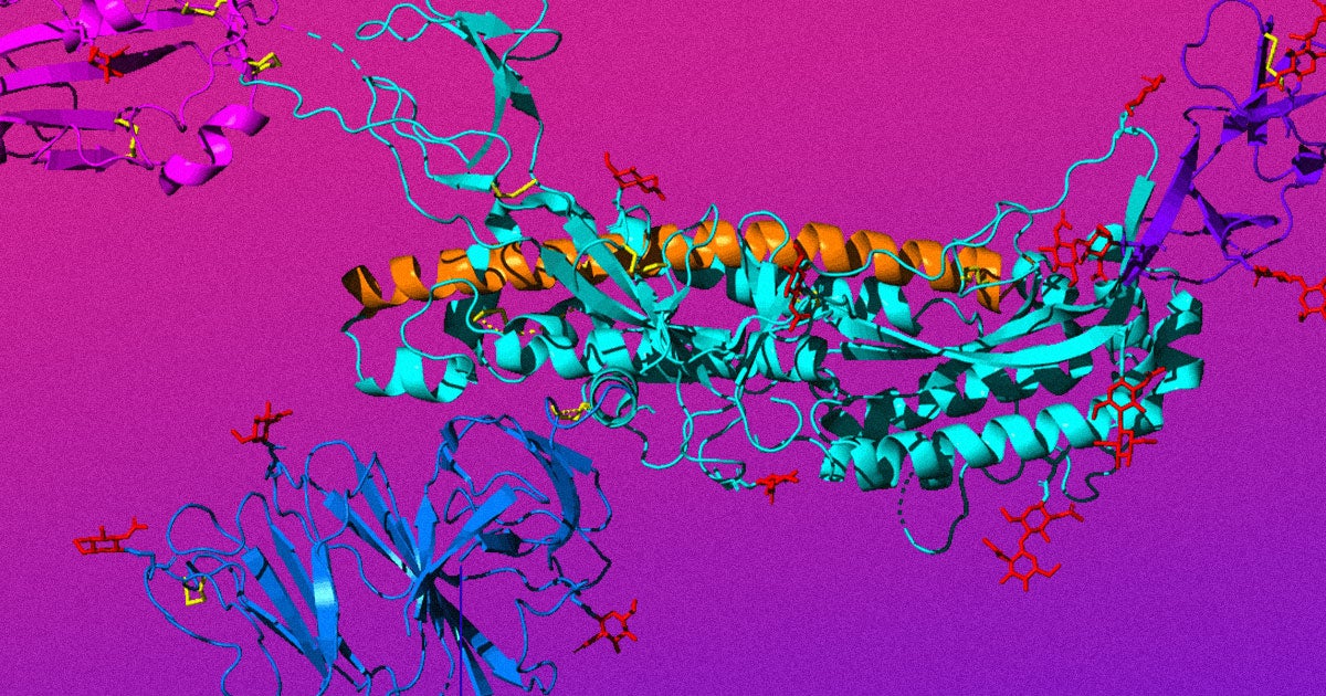 Scientists may have found a critical weakness in the coronavirus' structure: a small, positively-charged region crucial for latching onto host cells.