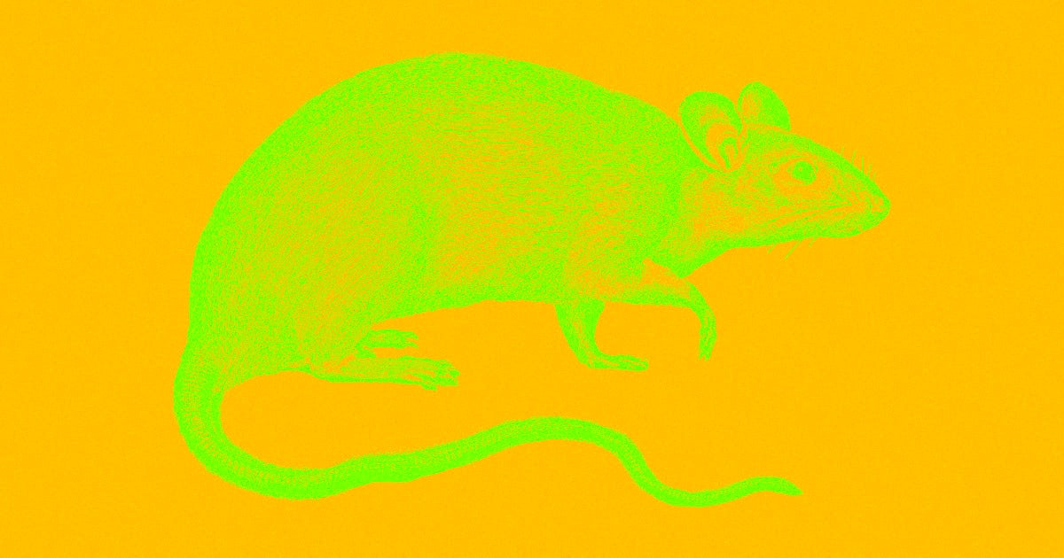 Research suggests scientists should pay greater attention to their lab mice's well-being. Not only for the mice's sake, but because it improves the science.