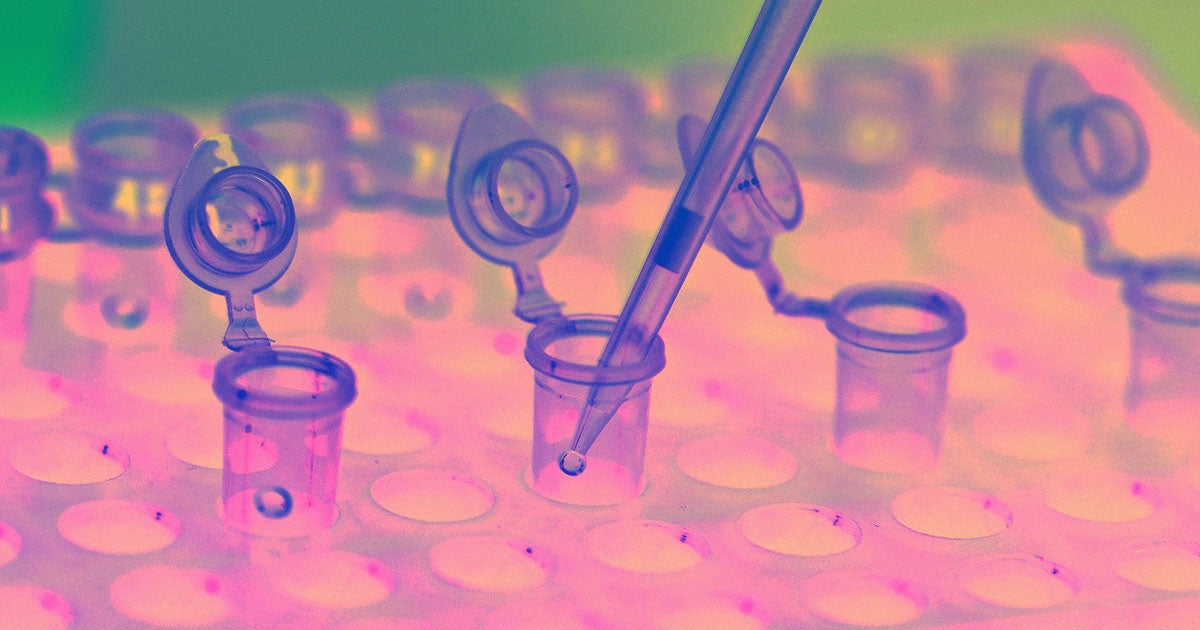 The private equity firm Blackstone just purchased Ancestry as well as its massive databse of customers' genetic information.