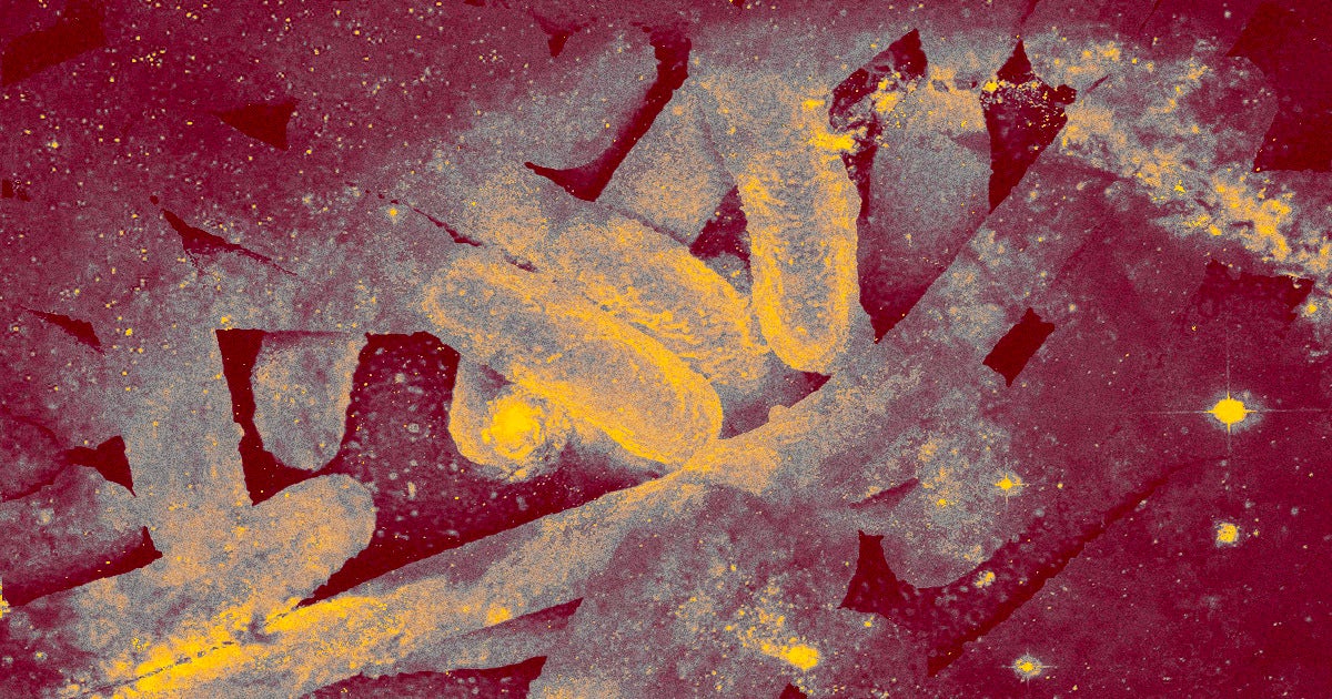 Researchers in Japan say bacteria could survive on the outside of a spacecraft for the entire duration of a trip to Mars.