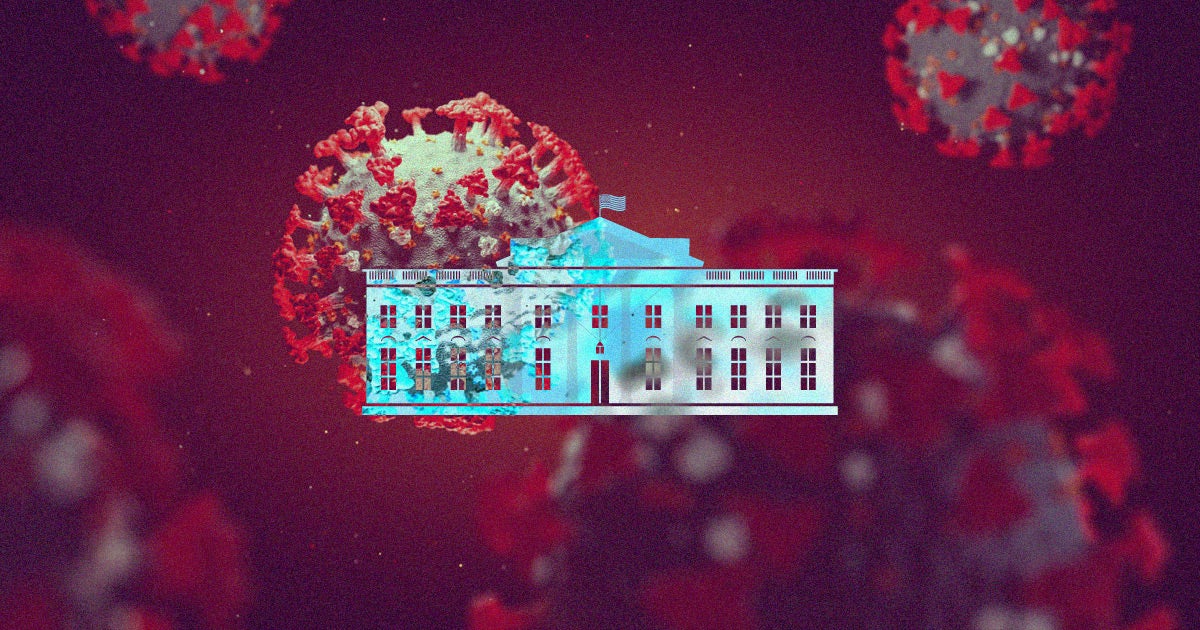 Trump's newest medical advisor is pushing the White House to embrace a "herd immunity" strategy to tackle the coronavirus pandemic.