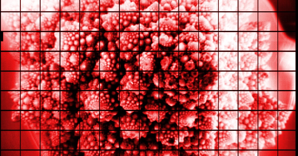 Scientists are building the largest digital camera on Earth meant to observe the night sky. In a test, they took a picture of a head of Romanesco broccoli.
